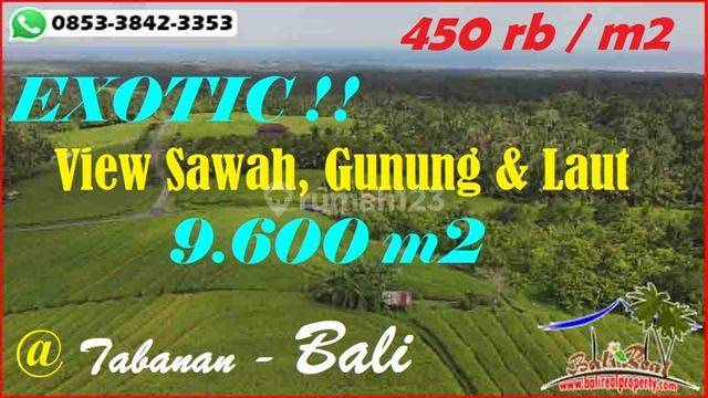 Pinggir Jalan Aspal 9,600 M2 Persawahan Datar 1