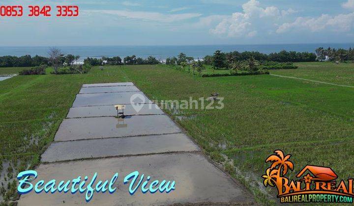 Cheap land with sea view near Medewi Beach Pulukan Jembrana 2