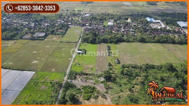 24.490 m2 with Rice Field, Mountain and Ocean view in Jembrana 2
