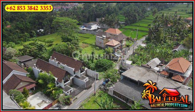 Affordable 2,400 Sqm Land For Sale In Ubud Pejeng 2