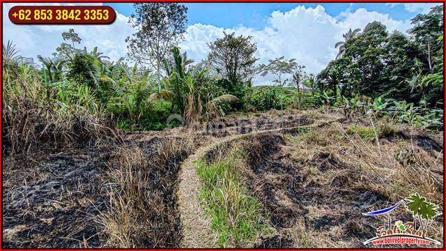 3,200 M2 With Rice Field And Mountain View In Penebel 2