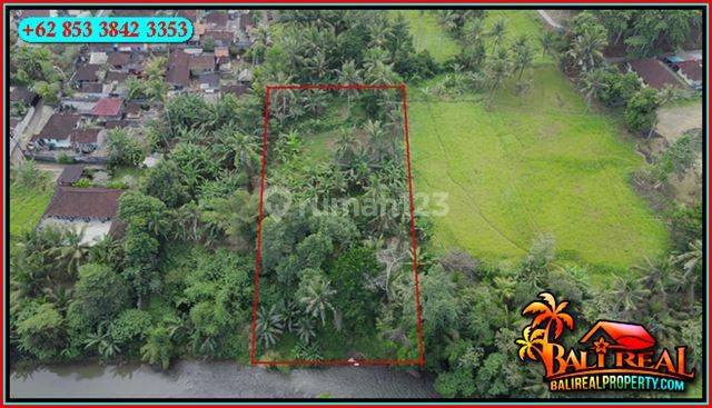 Exotic yet affordable 24 Are Land Sale in Sentral Ubud 2