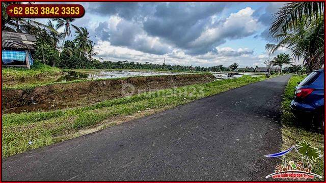 Magnificent Yet Affordable 30 Are Land Sale In Penebel Tabanan 2