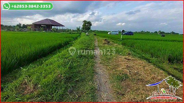 3,400 M2 Closed To The Beach With Rice Field View In Kerambitan 2