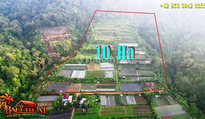 Affordable 100,000 sqm in Sukasada with Buyan Lake View