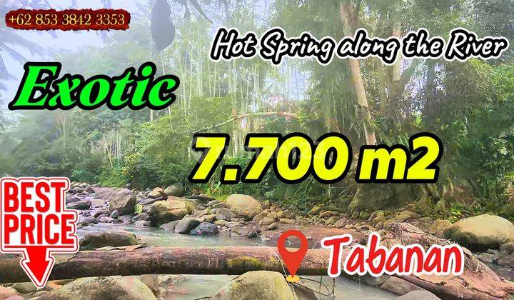 Affordable 7,700 sqm in Penebel Subak Road Access 2