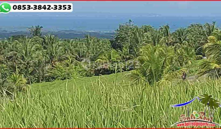 Mostly Flat 9,600 m2 with Ocean View in Selemadeg Barat 2