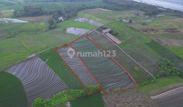 Affordable 2,300 sqm in Selemadeg Timur, Tabanan 2