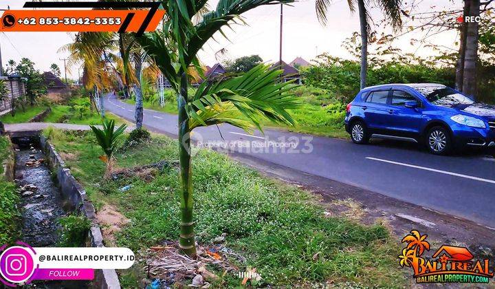 Super Cheap Land Price 900 m2 Ready to Built in Jembrana 2