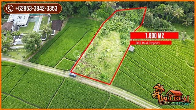 Under Market Price Land For Sale 1,800 Sqm In Kediri Tabanan 2