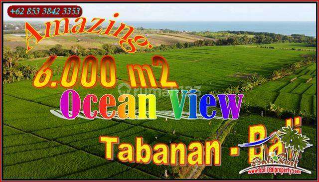 6,000 M2 With Closed To The Beach In Kerambitan Tabanan 1