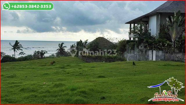 Exotic Yet Affordable Land For Sale 80 Are In Selemadeg Barat 2