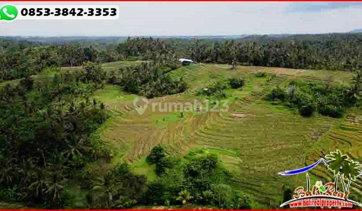 8,900 M2 Lahan Hak Milik Kawasan Selemadeg Timur 2