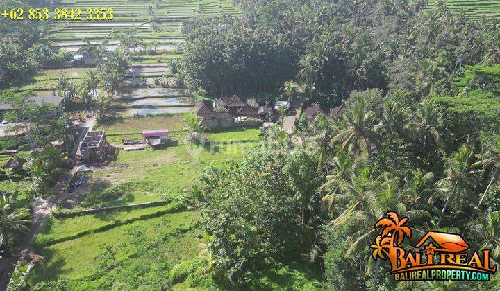 Affordable Land For Sale 438 Sqm In Ubud Tampaksiring 2