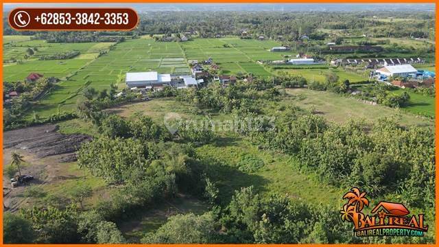 Affordable L Shaped Land 27.700 sqm in Jembrana 2