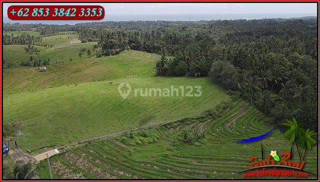 Under Market Price 18,000 Sqm In Selemadeg Barat Tabanan 2