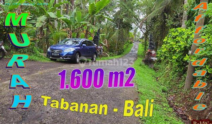 View Kebun 1,600 m2 di Penebel Tabanan Akses Jalan Desa 1