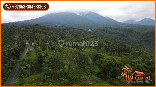 Exotic Yet Affordable Land For Sale 200 Are In Penebel Tabanan 2