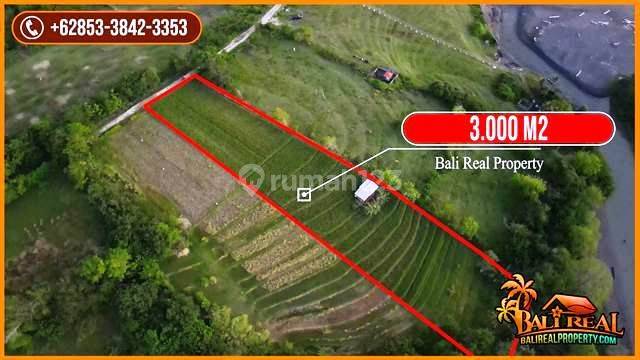 3,300 M2 With Rice Fields And Mountain View In Kediri, Tabanan 2