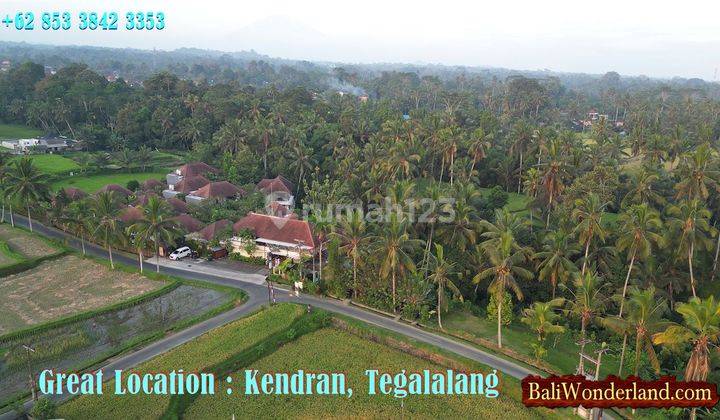 11,300 M2 With Rice Fields, Jungle And Small River In Kendran 2