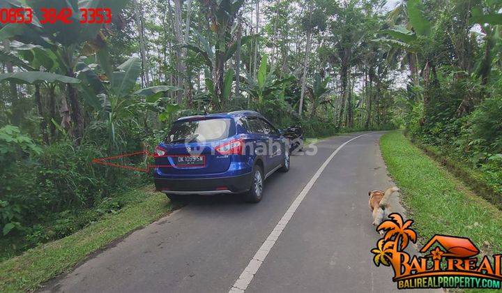 Affordable Property Land For Sale In Ubud Tegalalang 2