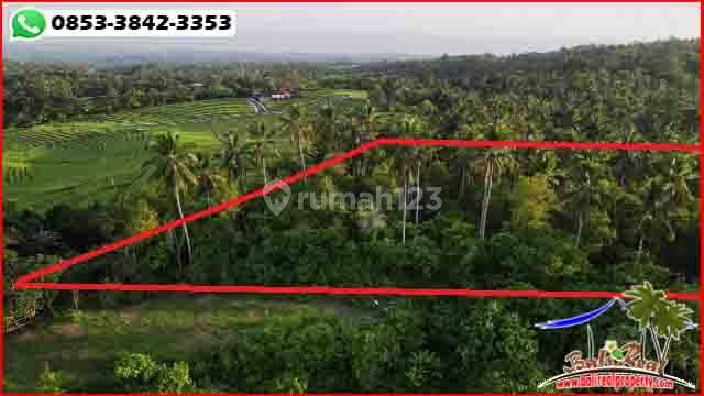 21,600 M2 Flat Dominant Easy Access Land in West Selemadeg 2