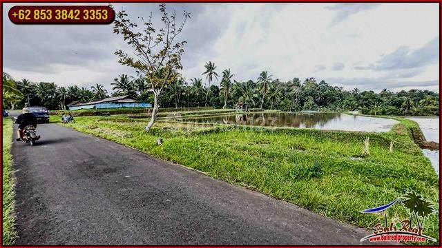 Magnificent Yet Affordable 30 Are Land Sale In Penebel Tabanan 2