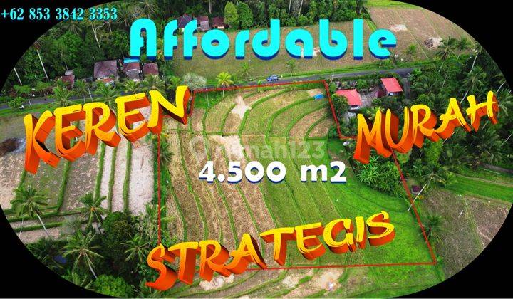 Under Market Price 4,500 Sqm In Pesagi Penebel Tabanan 1