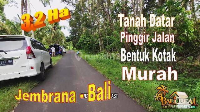 Perkebunan 350 Are Lahan Kering Akses Jalan Aspal 1