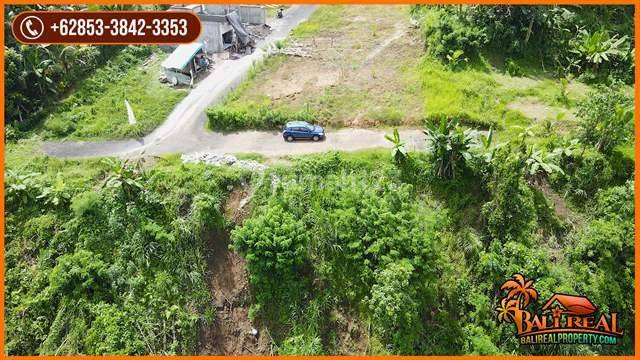 Beautiful Land With Jungle View By The River In Marga Tabanan 2