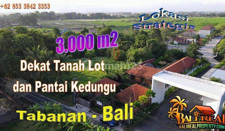 3,000 M2 With Jungle, River And Rice Fields View In Kediri 1