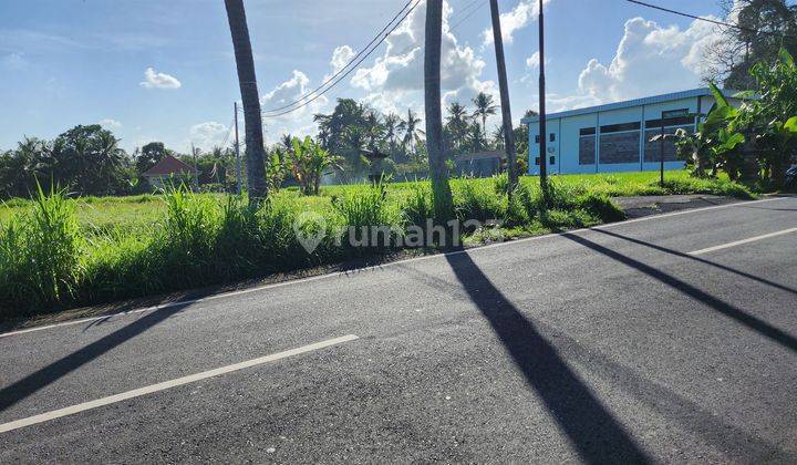 Under Market Price 2,200 Sqm In Ubud Bali 2