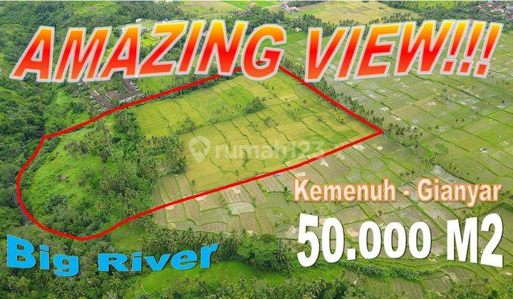 50,000 M2 With Rice Fields, Jungle And River View In Sukawati 1