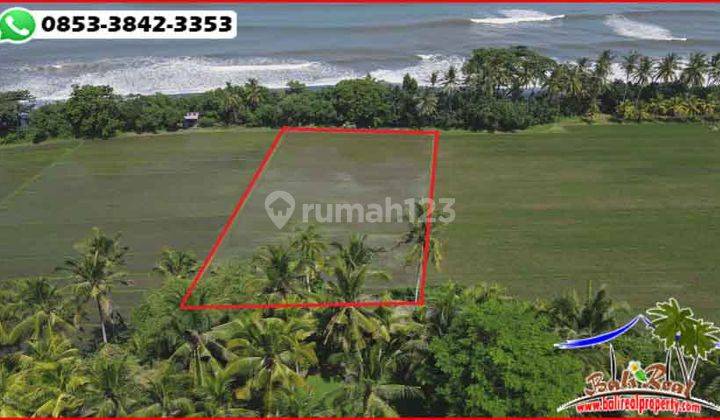 Tepi Pantai 4.700 M2 Lahan Persawahan Area Selemadeg 2