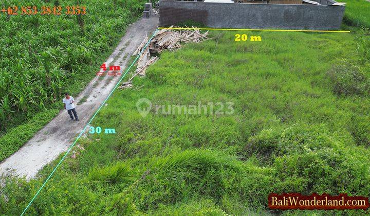 Cheap Land For Sale 650 M2 In Singakerta Near Ubud Central 2