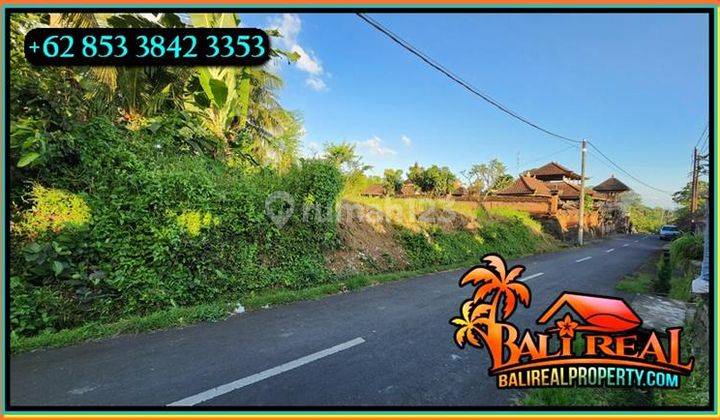 Suitable For A Residence Or Villa, Cheap Land For Sale In Siangan 2