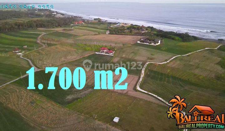 Affordable Land For Sale 1,700 Sqm In Selemadeg Tabanan 1