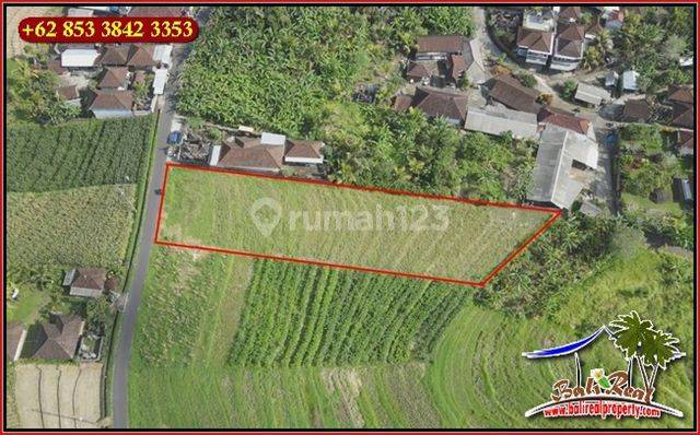 Affordable 1,800 Sqm Land For Sale In Kerambitan Tabanan 2