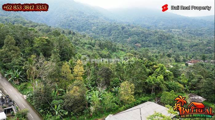 Lahan Kebun Dijual 73 Are di Penebel View Gunung Batukaru 2