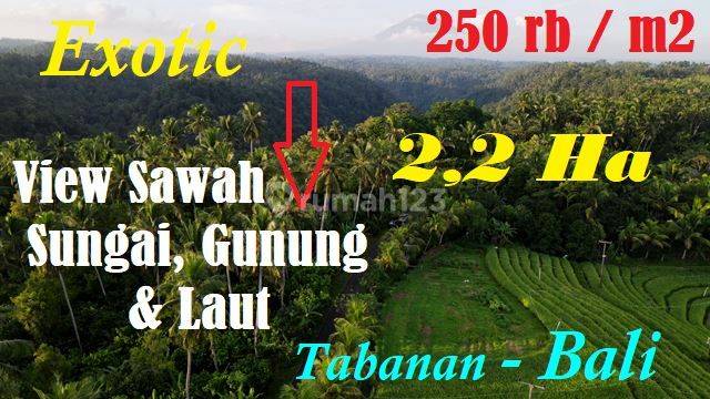 21,600 M2 Flat Dominant Easy Access Land in West Selemadeg 1