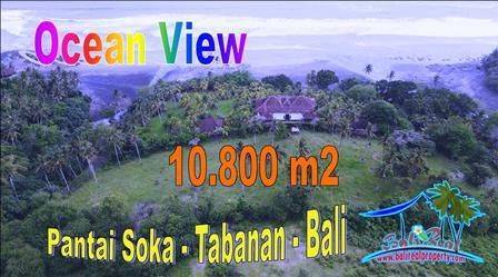 Under Market Price 10,800 Sqm In Selemadeg Barat Tabanan  1