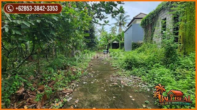 3,400 M2 With Jungle View By The River In Tabanan 2