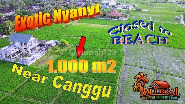 Land For Sale 1,000 M2 Closed To Nyanyi Beach In Kediri 1