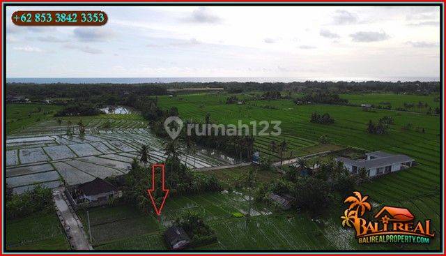 Exotic Yet Affordable 20 Are Land For Sale In Kediri Tabanan 2