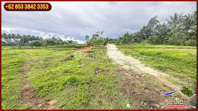 5,000 M2 With Rice Field And Mountain View In Selemadeg Timur 2