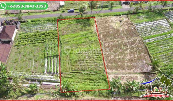 1,000 M2 With Rice Fields And Mountain View In Penebel 2