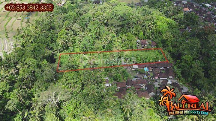 Bentuk Tanah Semi Kotak 38 Are Kawasan Ubud Bali 2