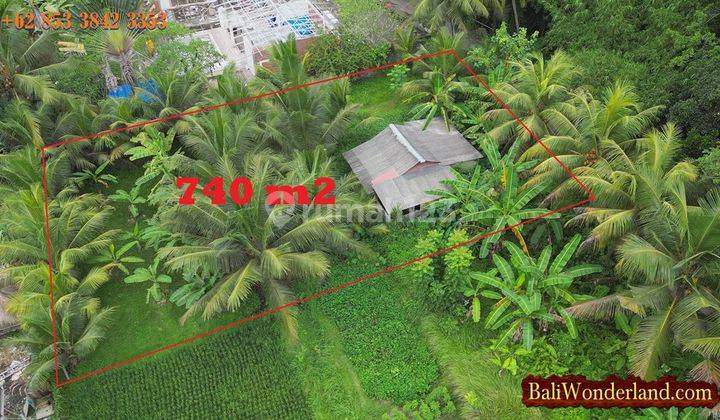 Affordable Land Sale 740 Sqm For Villa In Pejeng Ubud 2