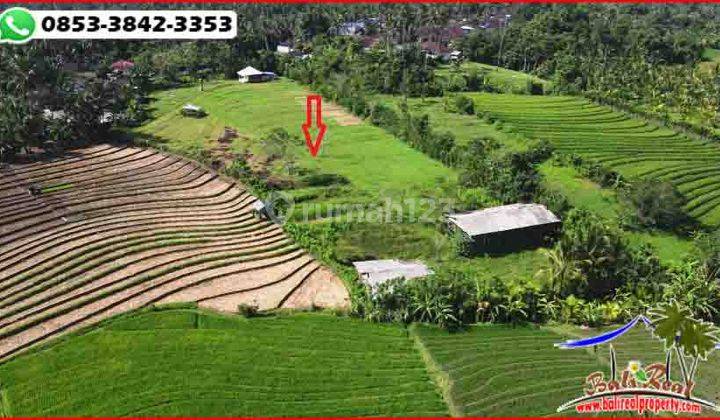 View Sawah Dan Gunung 9,500 M2 di Selemadeg Timur Tabanan 2