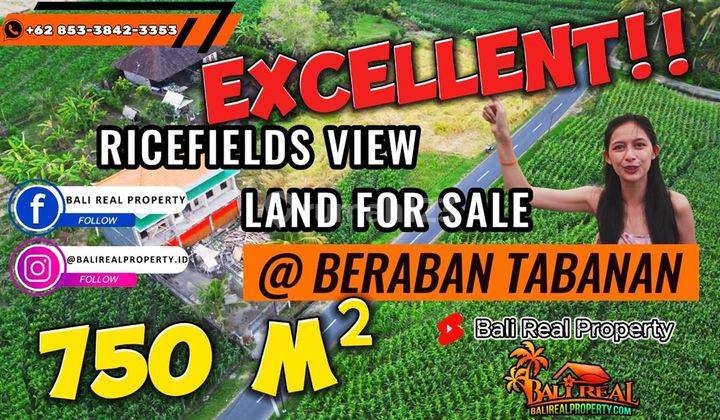 View Sawah Dan Laut 750 M2 di Selemadeg Pinggir Jalan Aspal 1